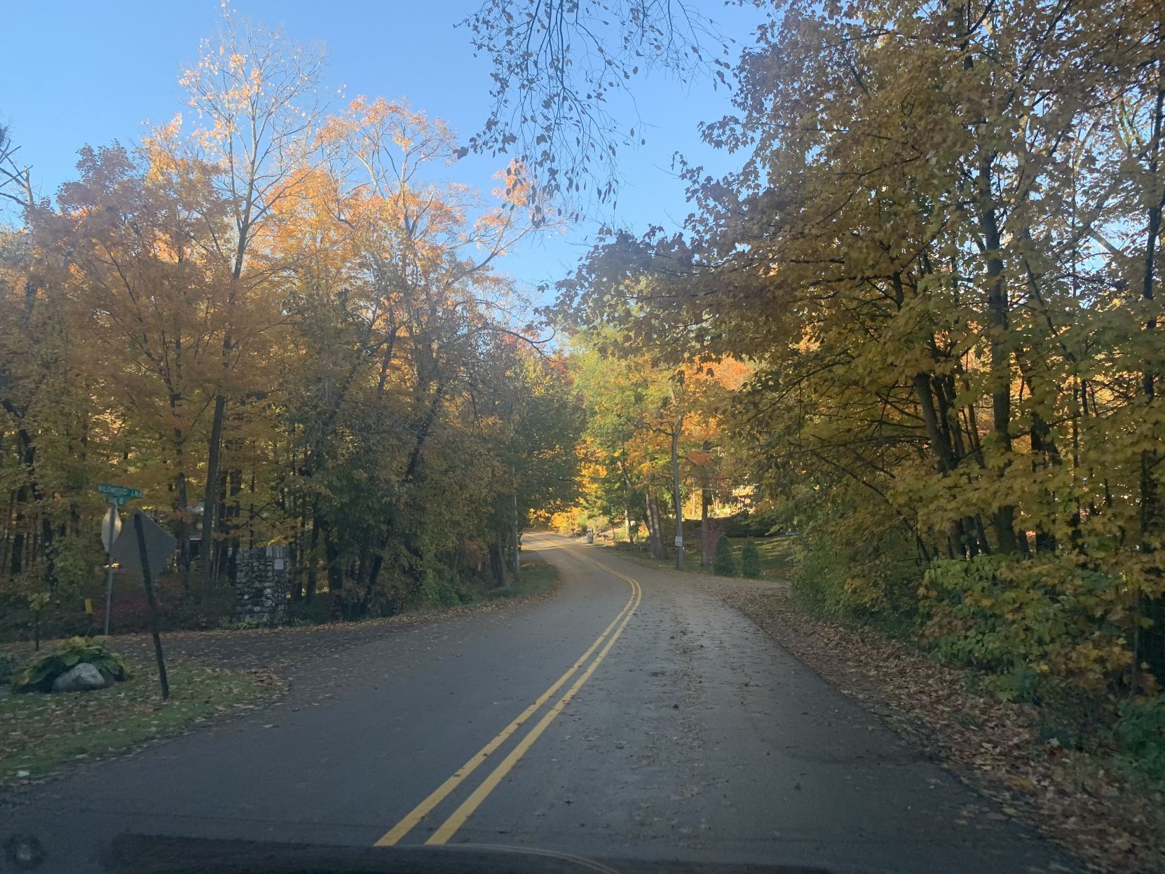 Snake Road fall colors